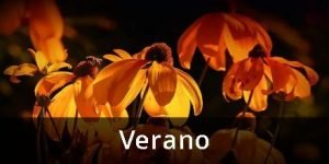 Lee más sobre el artículo Haikus de verano